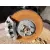 Mangueta Delantera Izquierda para Land Rover Range Rover Evoque (L551)