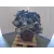 Motor Completo para Land Rover Range Rover Evoque (L551)