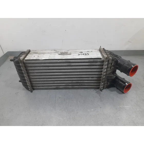 Intercooler para Citroën C3 Iii (Sx)