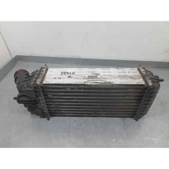 Intercooler para Citroën C3 Iii (Sx)