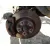 Mangueta Delantera Izquierda para Nissan Qashqai I (J10, Nj10)