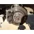 Mangueta Delantera Izquierda para Toyota Avensis (_T25_)