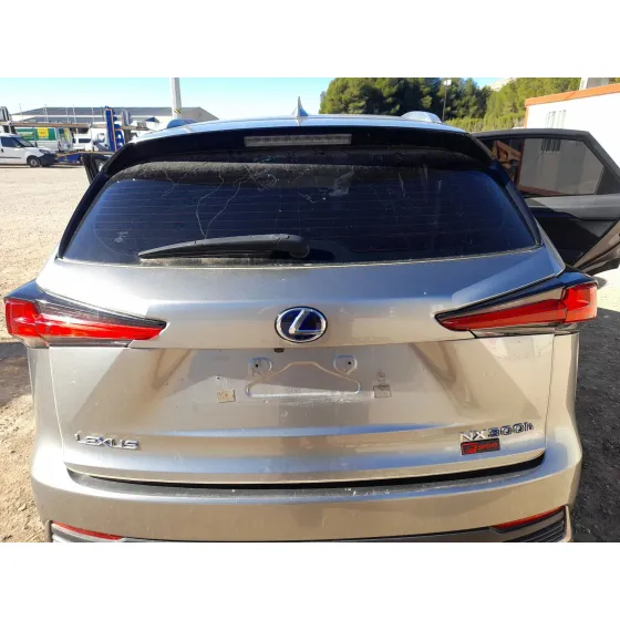 Porton Trasero para Lexus Nx (_Z1_)