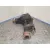 Diferencial Delantero para Nissan Terrano Ii (R20)