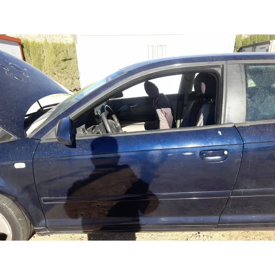 Puerta Delantera Izquierda para Audi A3 (8P1)