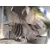 Mangueta Delantera Izquierda para Peugeot 308 Ii (Lb_, Lp_, Lw_, Lh_, L3_)