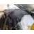 Servofreno para Ford Ka (Ru8)