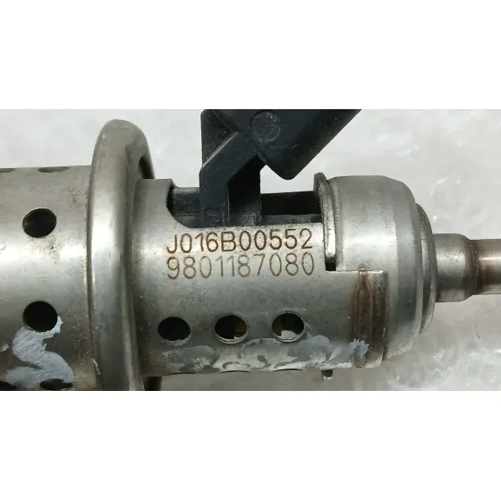 Inyector Adblue para Citroën Ds5