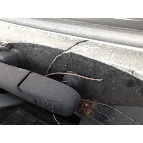 Motor Limpia Trasero para Renault Scenic I Monospace (Ja0/1_, Fa0_)