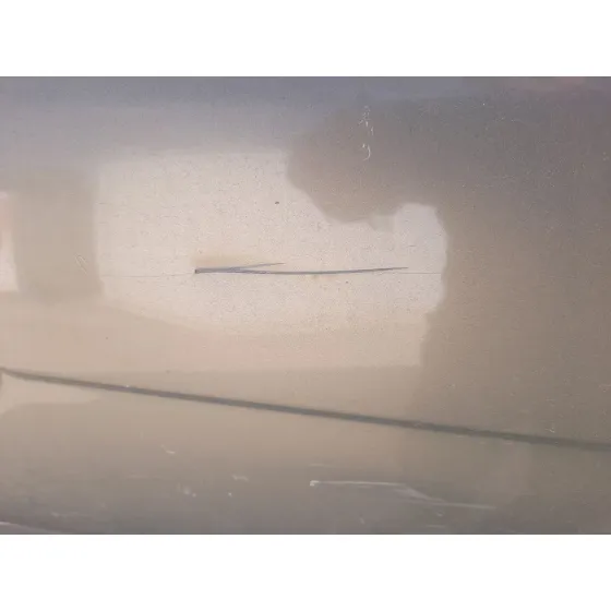 Puerta Delantera Derecha para Renault Scenic I Monospace (Ja0/1_, Fa0_)