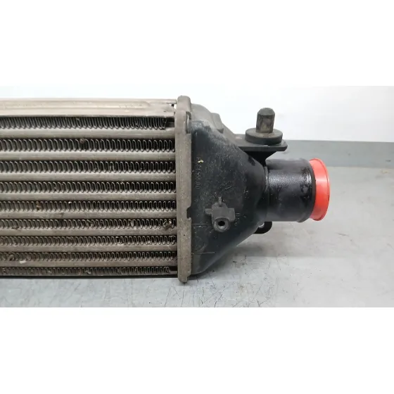 Intercooler para Fiat Bravo Ii (198_)