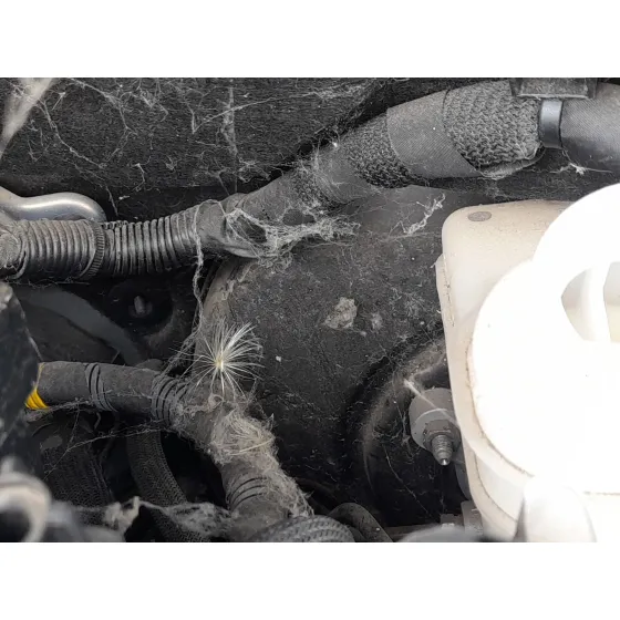 Servofreno para Jeep Compass (Mp, M6, Mv, M7)