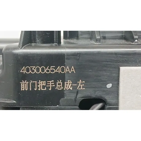 Maneta Exterior Delantera Izquierda para Jaecoo 7 Phev