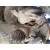 Mangueta Delantera Izquierda para Peugeot 508 Ii (Fb_, Fh_, F3_)