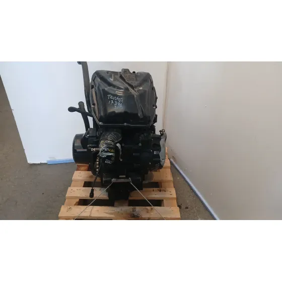 Motor Completo para Triumph Tiger