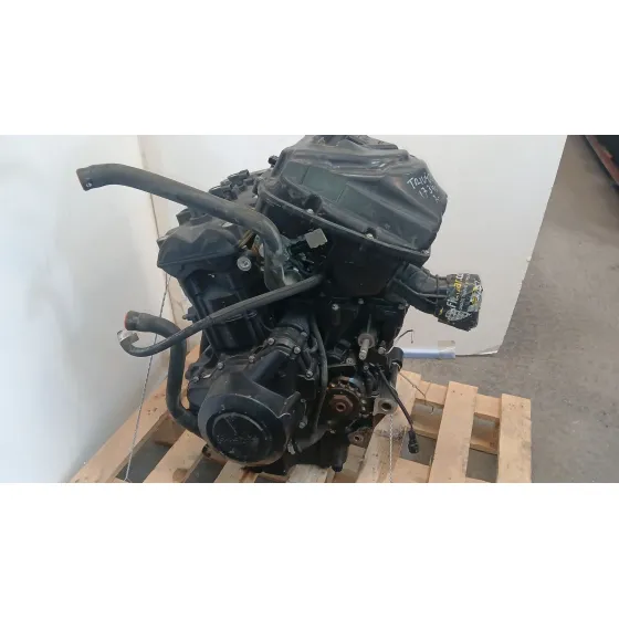 Motor Completo para Triumph Tiger