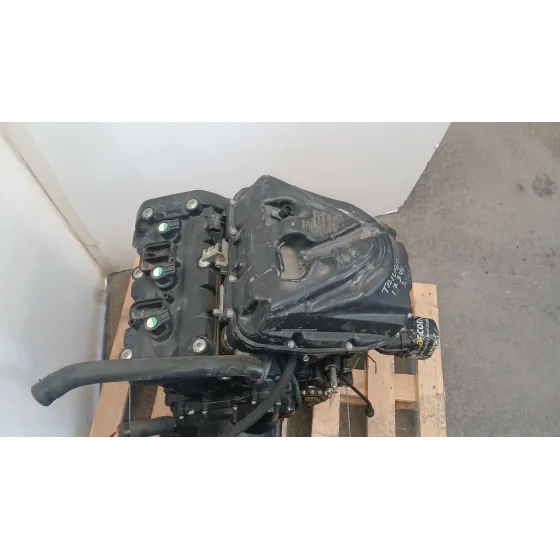 Motor Completo para Triumph Tiger