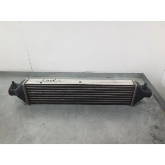 Intercooler para Fiat Doblo Cargo (263_)