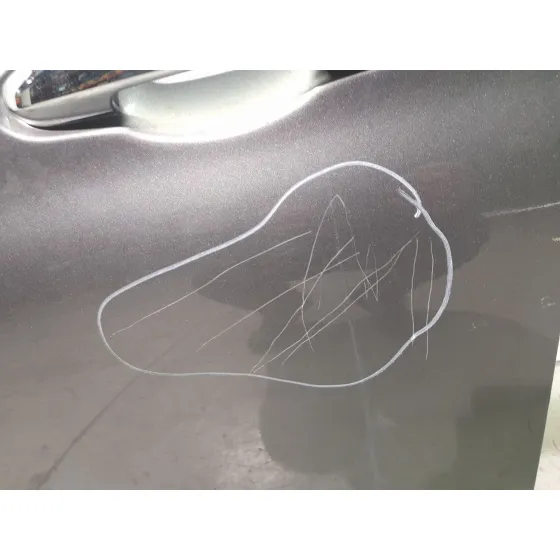 Puerta Delantera Izquierda para Fiat Tipo Station Wagon (356_, 357_)