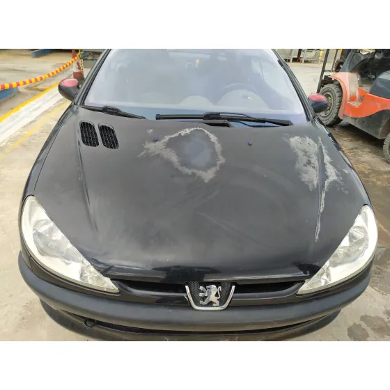 Capot para Peugeot 206 Cc (2D)