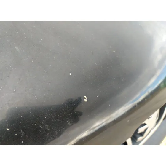Capot para Peugeot 206 Cc (2D)