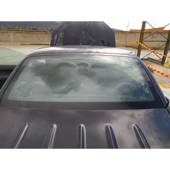 Luna Trasera para Peugeot 206 Cc (2D)