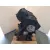 Motor Completo para Peugeot 206 Cc (2D)