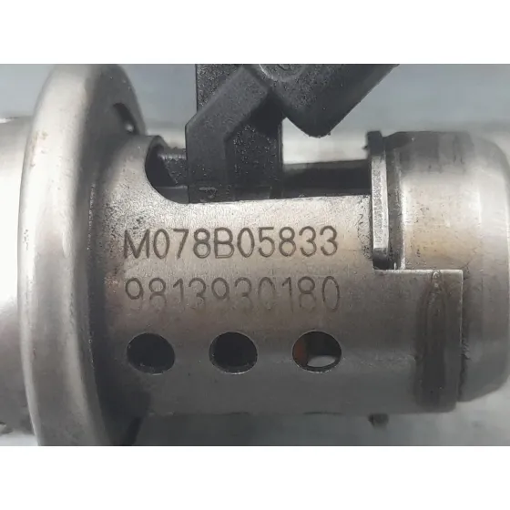 Inyector Adblue para Citroën C4 Iii (Ba_, Bb_, Bc_)