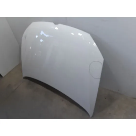 Capot para Volkswagen Polo V (6R1, 6C1)