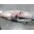 Airbag Cortina Delantero Derecho para Seat Ibiza V (Kj1, Kjg)