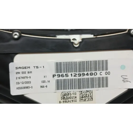 Cuadro Instrumentos para Peugeot 307 Sw (3H)
