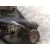 Diferencial Trasero para Mercedes-Benz Clk (C208)