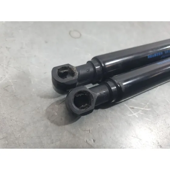 Amortiguadores Maletero / Porton para Nissan Micra V (K14)