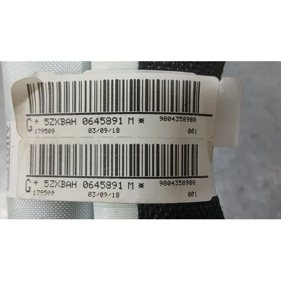 Airbag Cortina Delantero Izquierdo para Citroën C4 Cactus