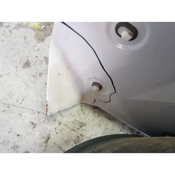 Puerta Trasera Izquierda Carga para Fiat Ducato Furgoneta (250_)