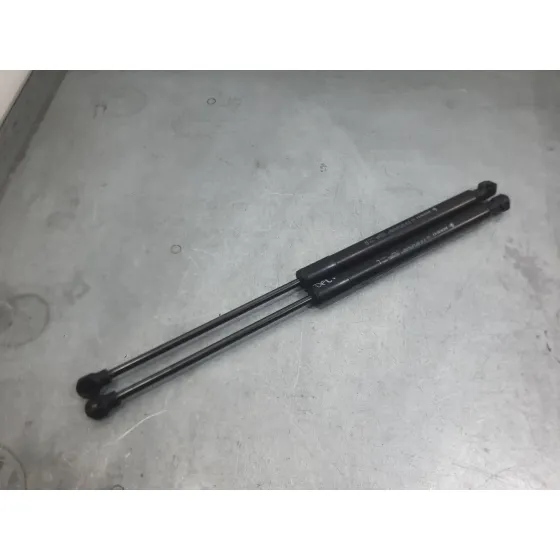 Amortiguadores Maletero / Porton para Renault Megane Iv Hatchback (B9A/M/N_)