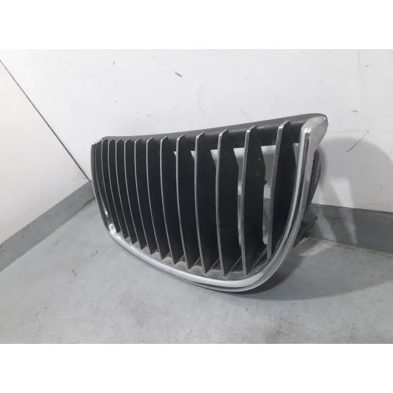 Rejilla Delantera para Bmw 3 (E90)