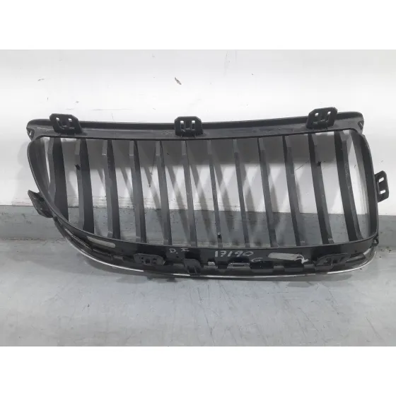 Rejilla Delantera para Bmw 3 (E90)