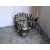 Caja Cambios para Nissan Micra Iii (K12)