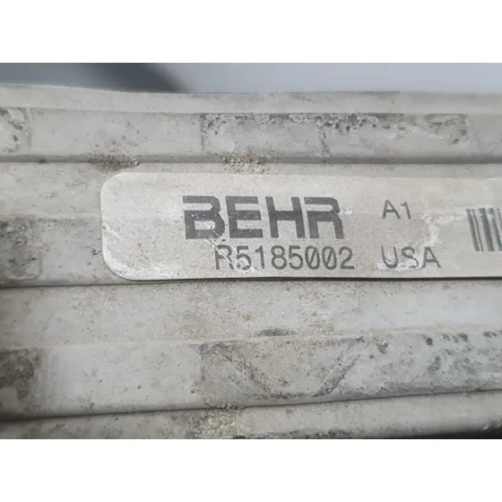 Radiador Agua para Bmw X5 (E70)
