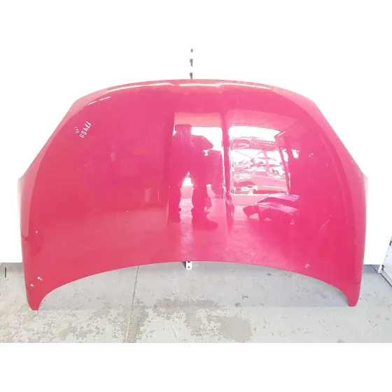 Capot para Fiat 500X (334_)