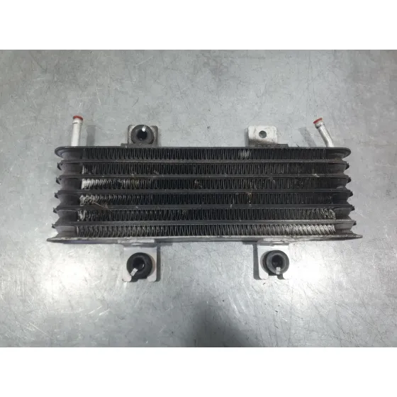 Radiador Caja Cambios para Nissan Micra V (K14)