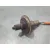 Sonda Lambda para Nissan Micra V (K14)