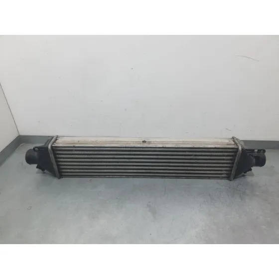Intercooler para Fiat Doblo Cargo (263_)