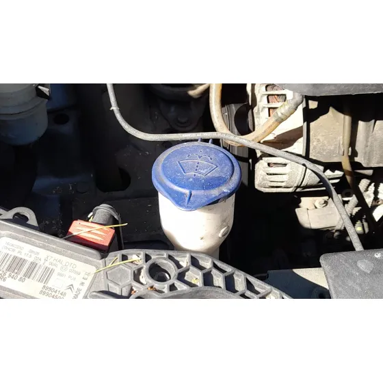 Deposito Limpia para Citroën C5 Iii (Rd_)