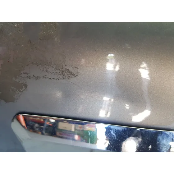 Porton Trasero para Chevrolet Captiva (C100, C140)