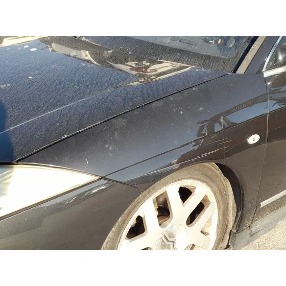 Aleta Delantera Izquierda para Citroën C6 (Td_)
