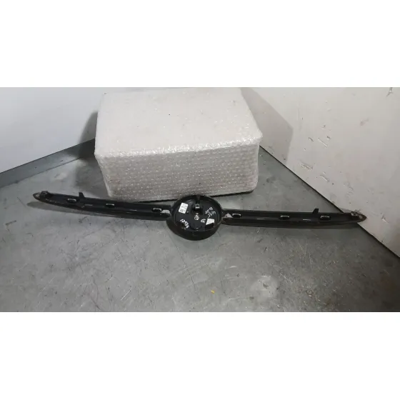 Rejilla Delantera para Fiat 500 (312_)