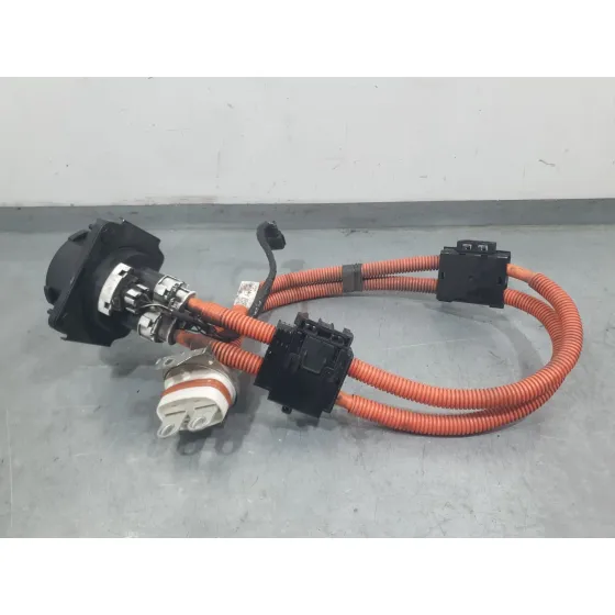 Modulo Electronico para Nissan Leaf (Ze0)