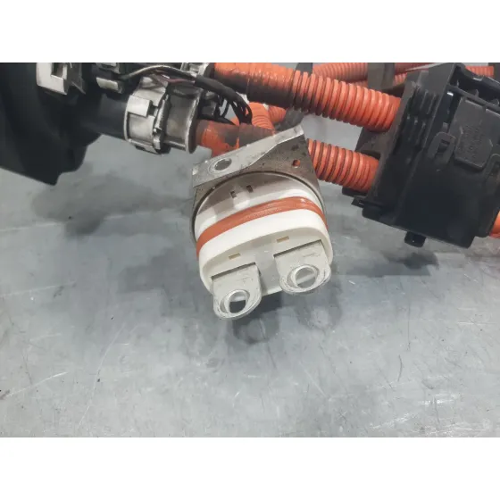Modulo Electronico para Nissan Leaf (Ze0)